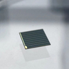 野生動物探知機用の効率的な小型太陽電池