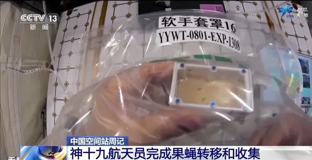 神舟十九号航天员的持续任务：空间研究与技术进步