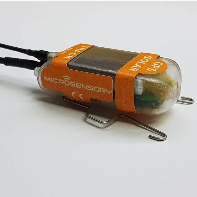 什么是可以找到鸟类轨迹的GPS太阳能电池板？